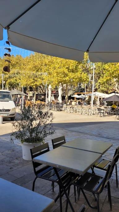 Le Méditerranée - Appartement 1 Chambre - 21