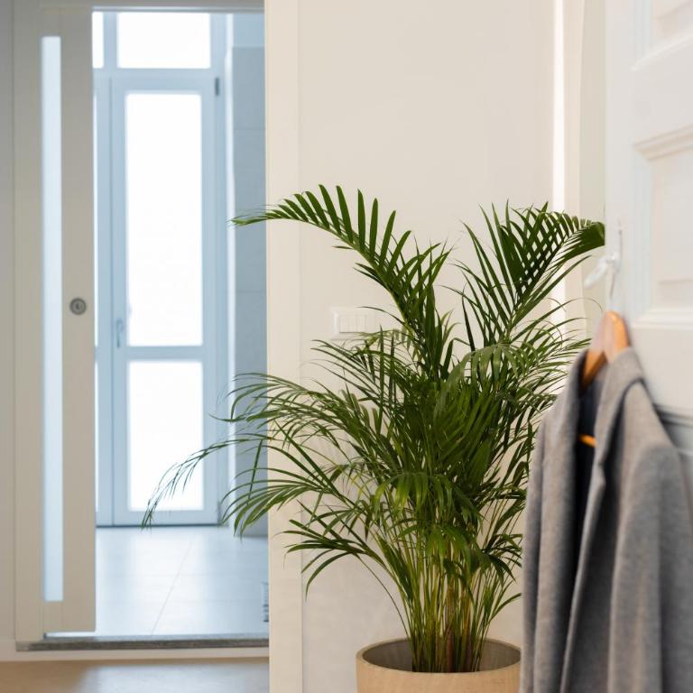 Gioberti's Apartment - 100 sqm - 2 Bedrooms and Free Private Parking in the Center - Appartamento con 2 Camere da Letto e Balcone - 44