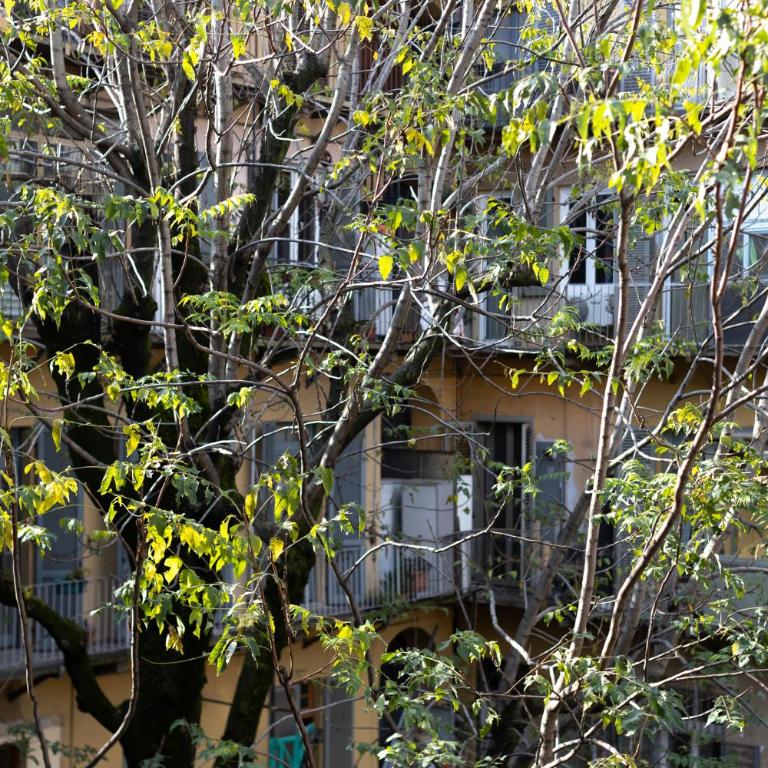Gioberti's Apartment - 100 sqm - 2 Bedrooms and Free Private Parking in the Center - Appartamento con 2 Camere da Letto e Balcone - 10
