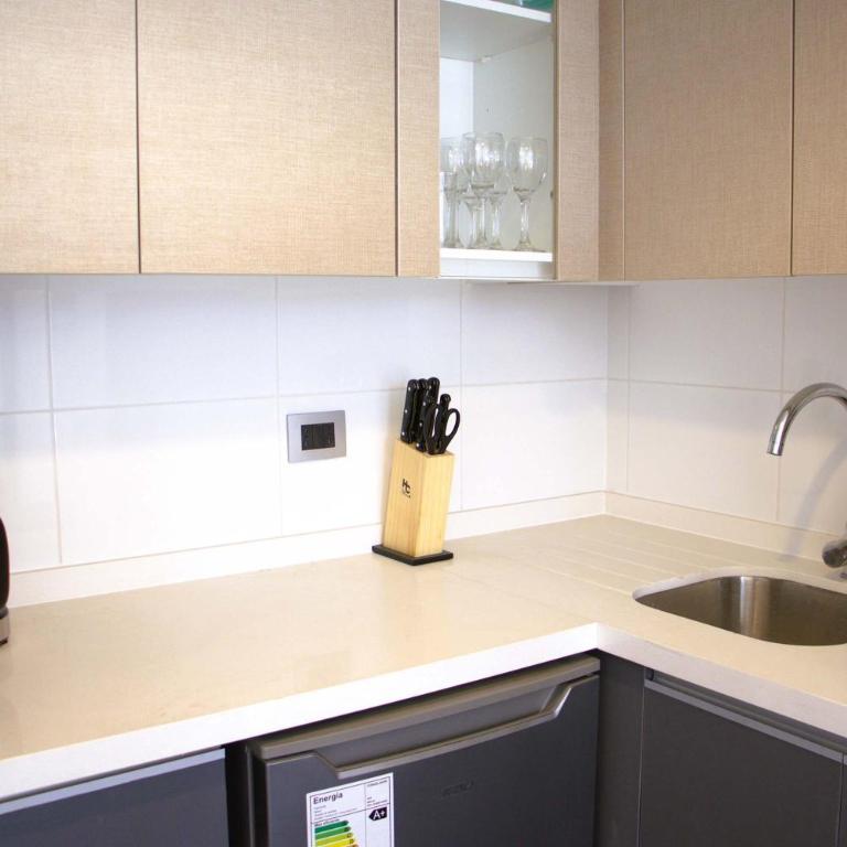 HOM I Amplio e Inmejorable Depto 1D1B Santiago B309 - Apartamento - 17