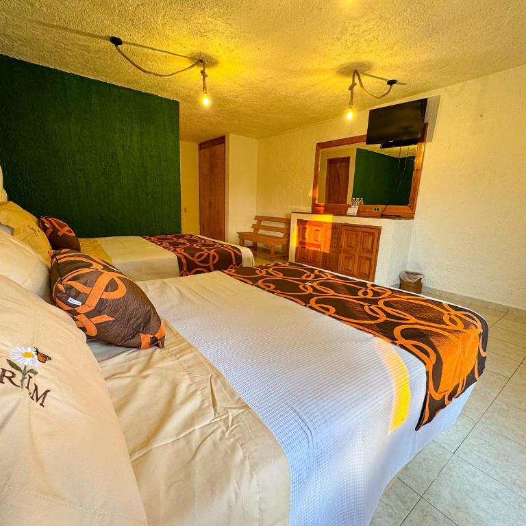 Hotel Rancho Las Margaritas - Habitación Doble - 2 camas dobles - 1