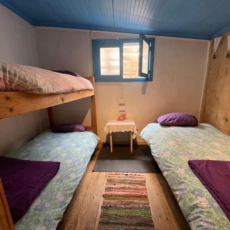 SURFHOUSE Pichilemu - Bunk Bed in Female Dormitory Room - 1