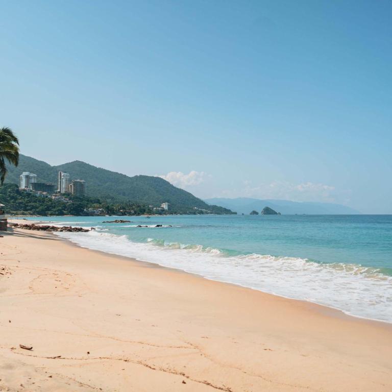 Full Floor Beachfront Luxury Apartment - Apartamento - 50