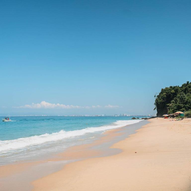 Full Floor Beachfront Luxury Apartment - Apartamento - 51