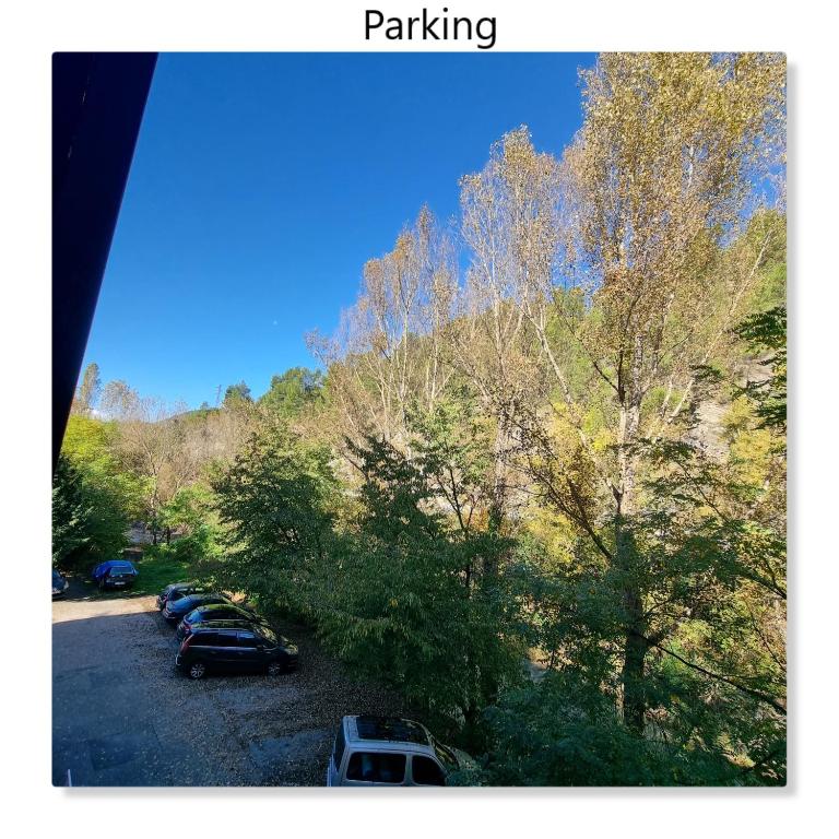 Calme et arboré, Studio 34 - Appartement - 11