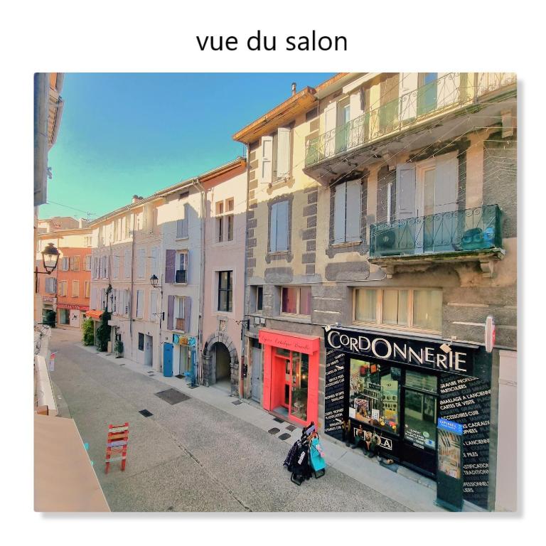 Cœur de ville, T2, rue piétonne, Digne les Bains - Appartement 1 Chambre - 7