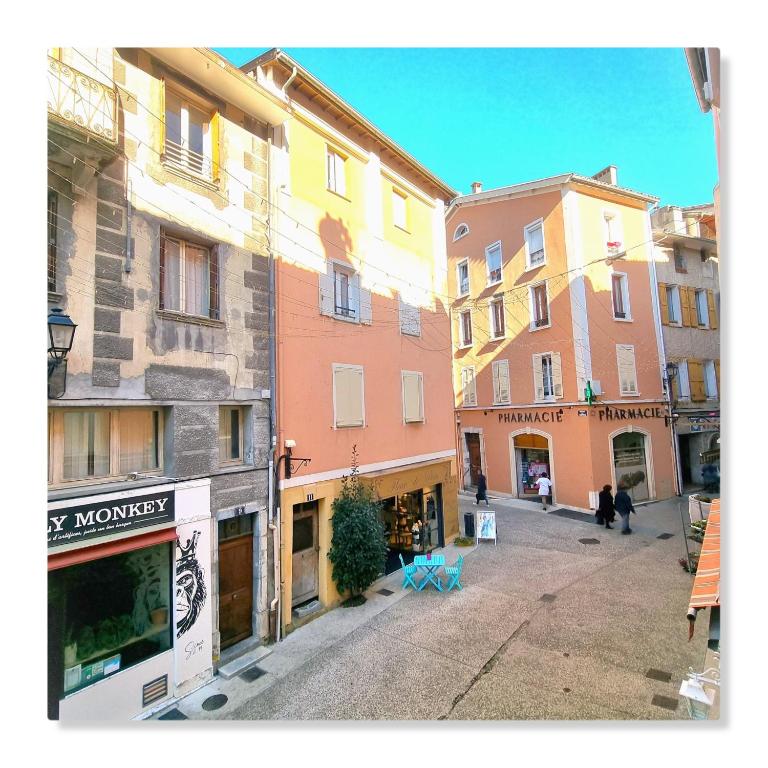 Cœur de ville, T2, rue piétonne, Digne les Bains - Appartement 1 Chambre - 8