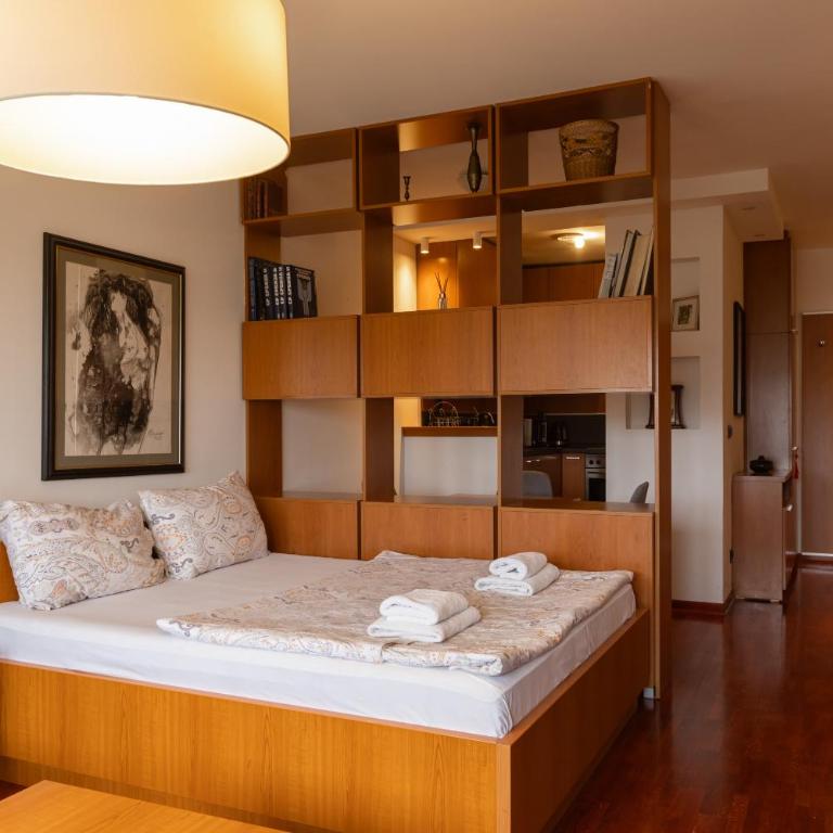 Central Park Apartments - Studio - 10