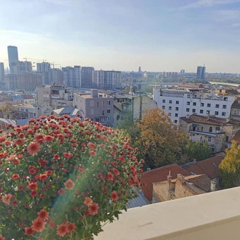 Central Apt with Stunning View - Apartman sa 1 Spavaćom Sobom - 8