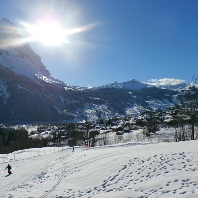 Casa Almis, Grindelwald - Apartment mit Blick auf die Berge - 18