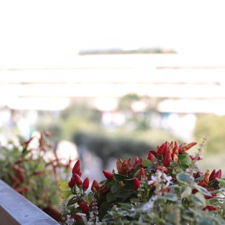 Luna Nuova Gallipoli Comfort & Suites - Camera King con Balcone - 5