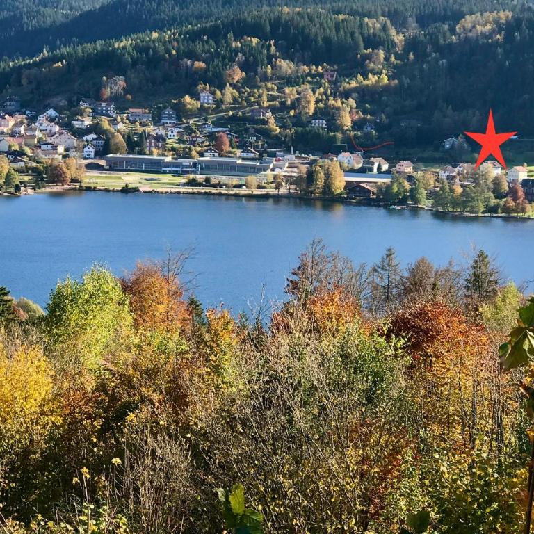 GERARDMER Rés Aubépine 100m du lac Appt 4 personnes - Appartement 1 Chambre - 1