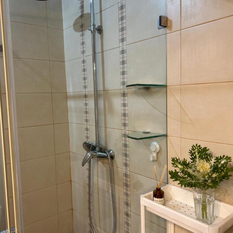 The very centre of Belgrade - Apartman sa 1 Spavaćom Sobom - 7