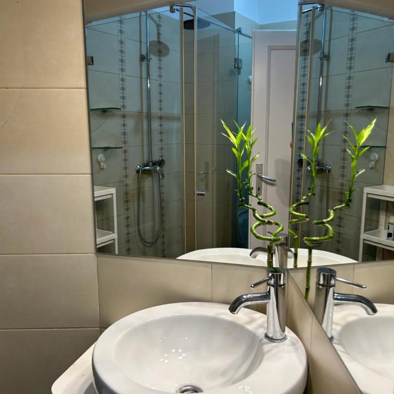 The very centre of Belgrade - Apartman sa 1 Spavaćom Sobom - 8