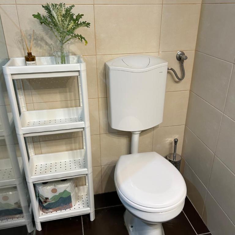 The very centre of Belgrade - Apartman sa 1 Spavaćom Sobom - 9