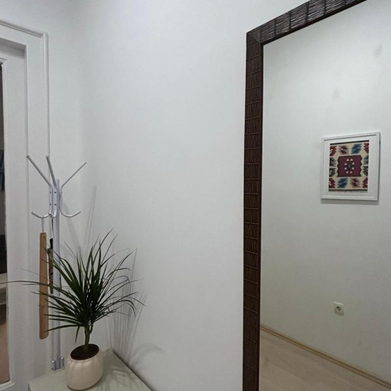 The very centre of Belgrade - Apartman sa 1 Spavaćom Sobom - 12