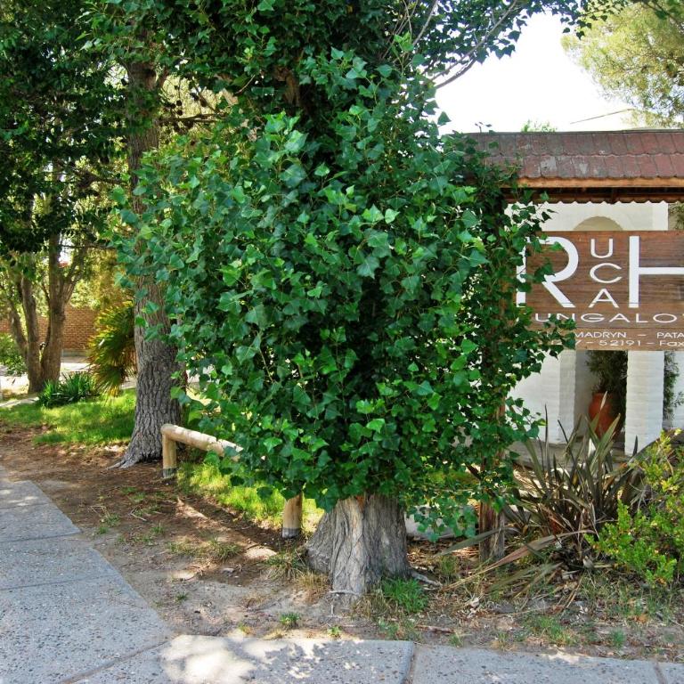 Ruca Hue - Apartamento de 2 dormitorios - 12