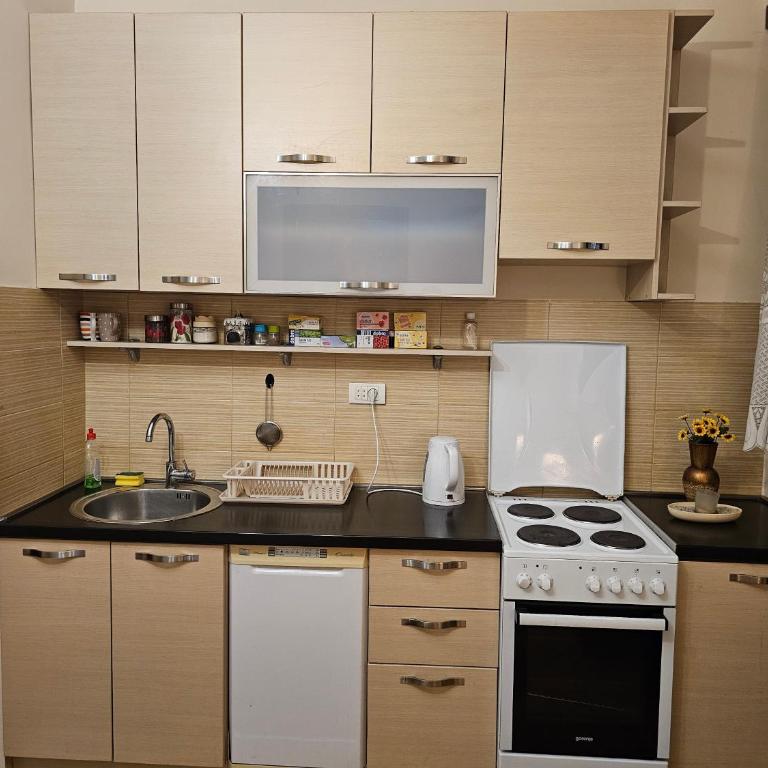 Apartment Heart of Podgorica - Apartman sa 1 Spavaćom Sobom - 4