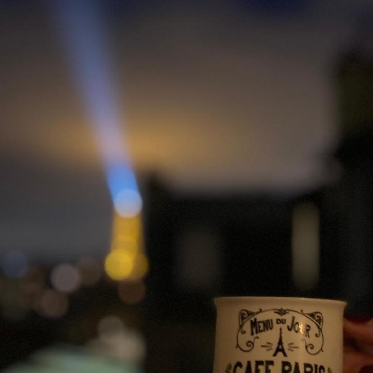 Studio chic Paris Tour Eiffel Near Eiffel tower 7th floor - Appartement 1 Chambre - 24