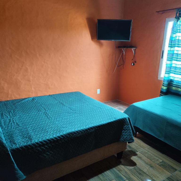 El Gato Azul - Casa - 5