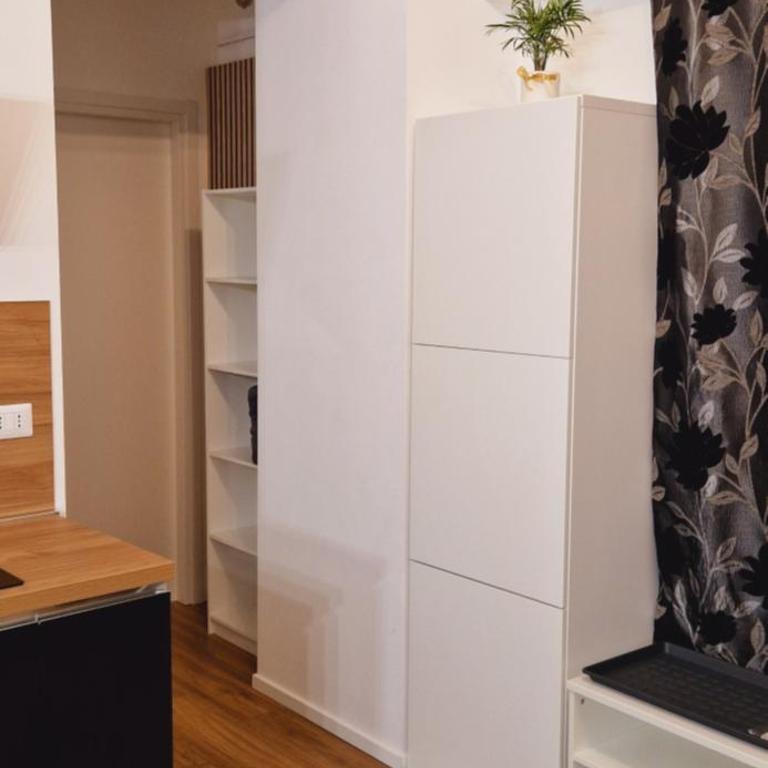 Central Loft Carina ideale per visitare il Centro di Torino - Appartamento Monolocale - 48