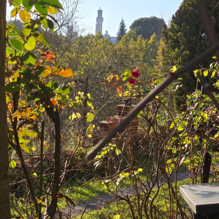 Podere Ponticini - Appartamento con 3 Camere da Letto - 43