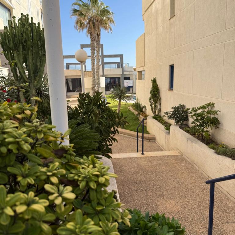 Torrevieja La Mata Primera línea playa - Apartamento con terraza y vistas parciales al mar - 40