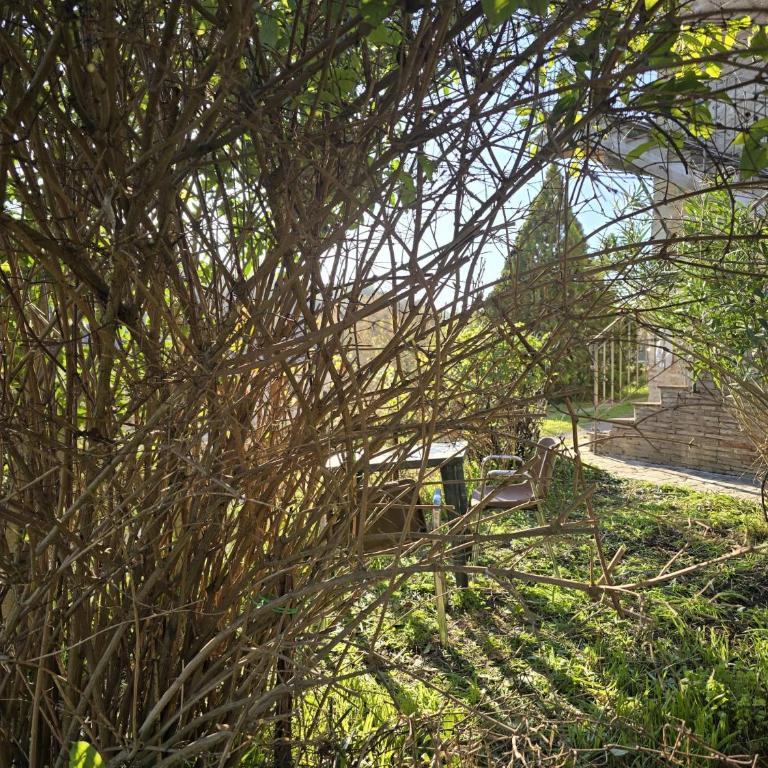 Podere Ponticini - Appartamento con 3 Camere da Letto - 45