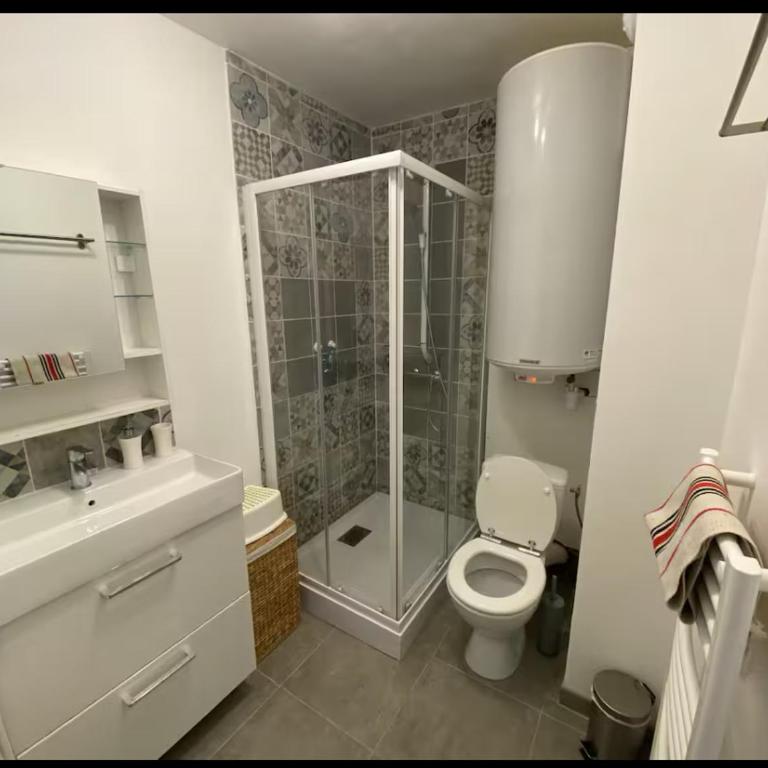 T2bis, petit coin de paradis face à la mer - Apartment mit 2 Schlafzimmern und Meerblick - 5
