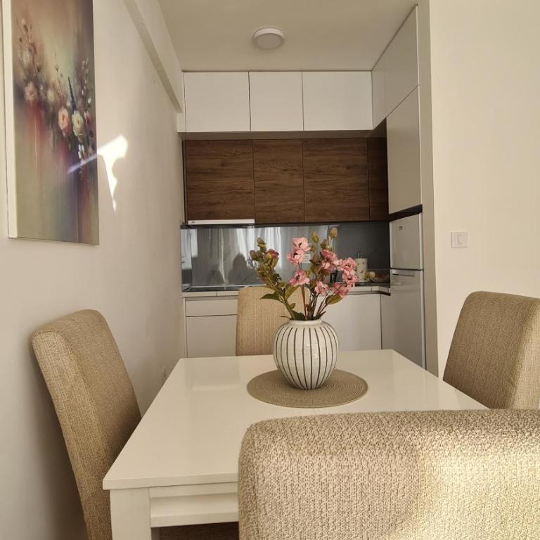 Zoya Apartment - Apartman sa 1 Spavaćom Sobom - 10