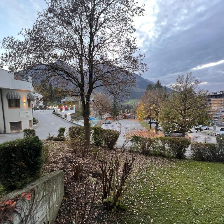 Apartment 8 Grüner Baum Alpendorf - Appartement 1 Chambre - 3