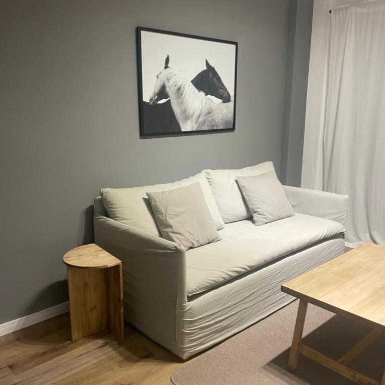 Núñez deluxe - Apartamento de 1 dormitorio - 9