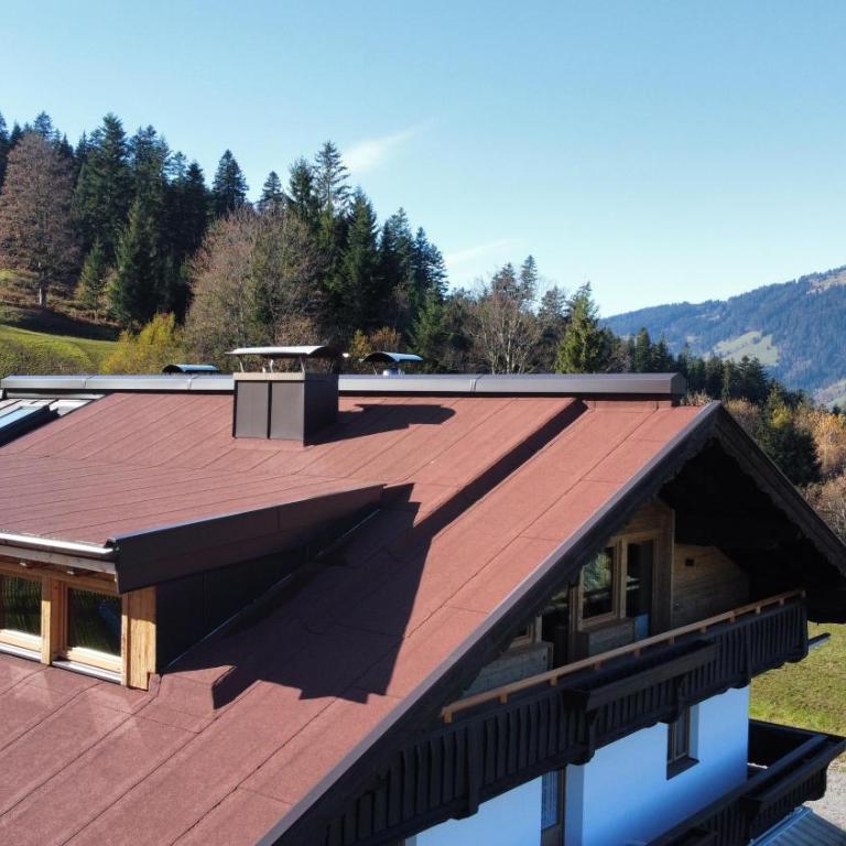Lodge Kitzbüheler Alpen - Apartment mit 3 Schlafzimmern und Dusche - 25