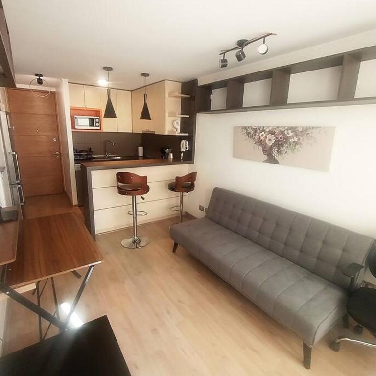 Rest in Santiago's heart - One-Bedroom Apartment - 9