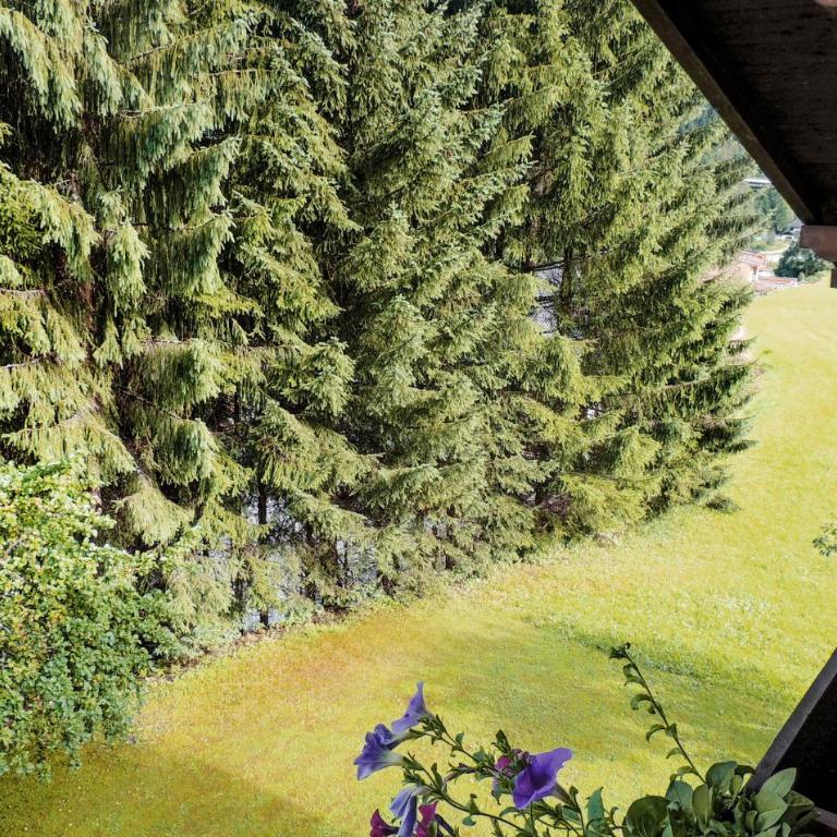 Ferienwohnung In Flachau - One-Bedroom Apartment - 5