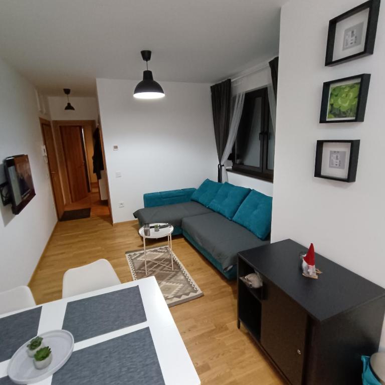 Plavi Bor - Apartman s 1 Spavaćom Sobom i Terasom - 20