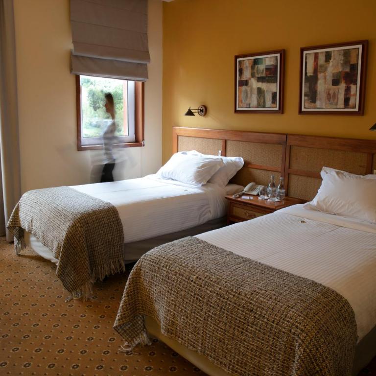 Hotel Termas Puyehue Wellness & Spa Resort - Habitación Doble Estándar - 2