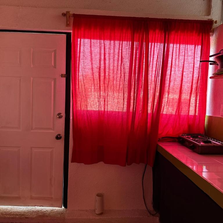 Pasifica Studio - Apartamento de 1 dormitorio - 6