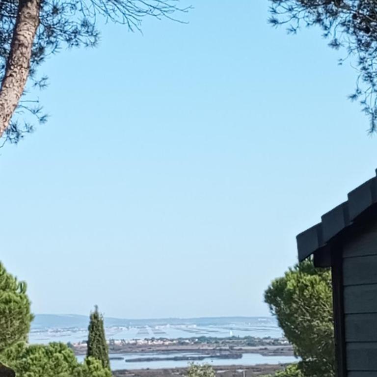 Chalet familial entre les pins - Chalet 2 Chambres - 10