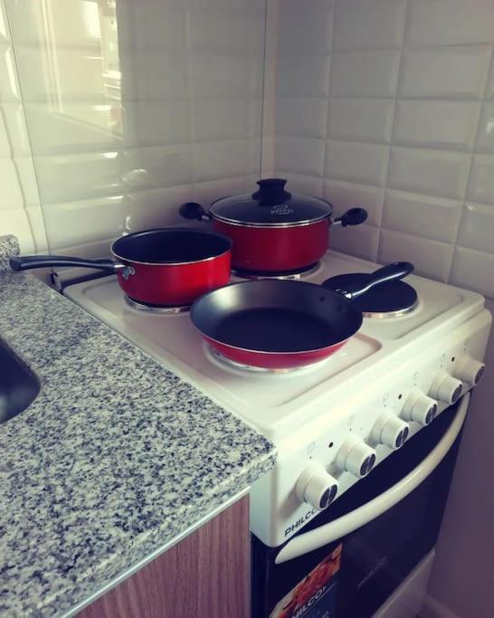 Nuevo Piso Céntrico con Vista al lago 2 o 3 personas 1 mascota OK - Apartamento de 1 dormitorio - 15