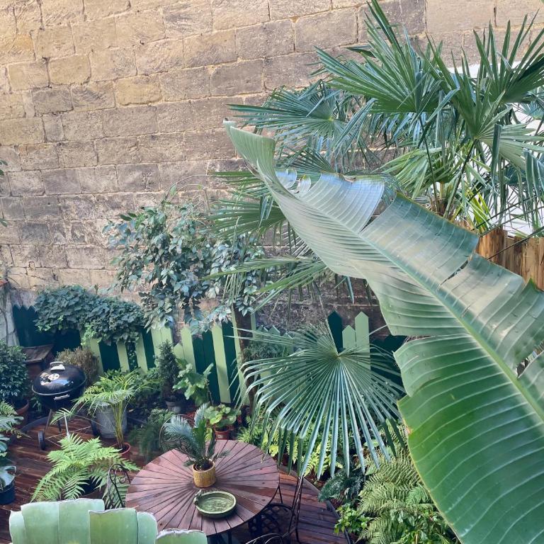 Les Appartements à Gambetta - Appartement - Vue sur Jardin - 19