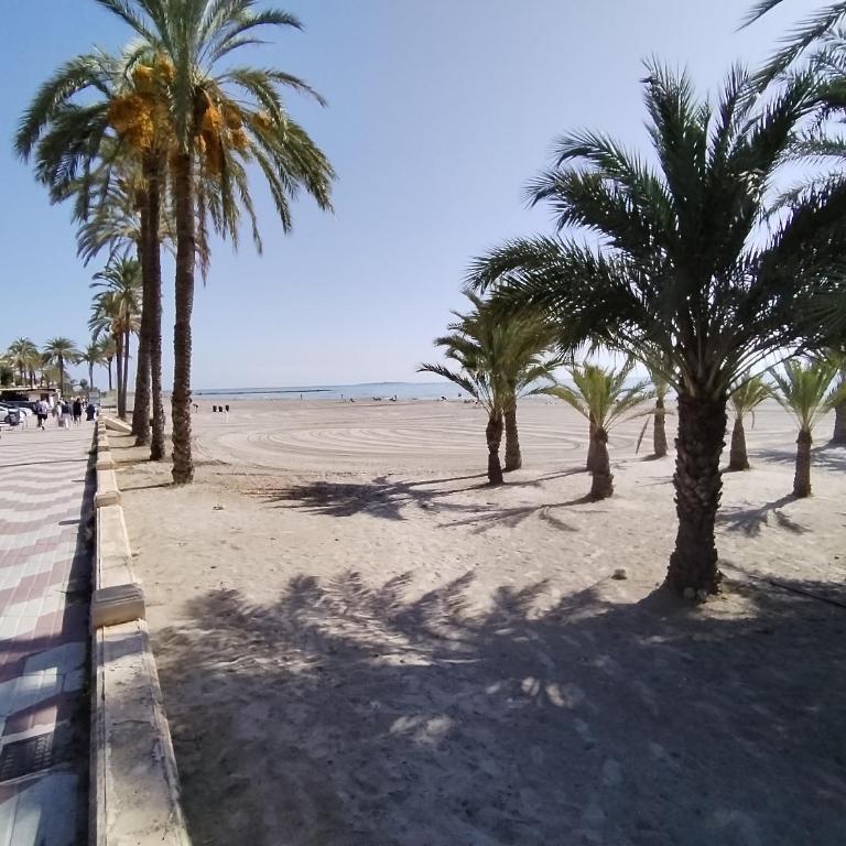 Mira al Mar y Tabarca en urbanización Santa Pola - Apartamento de 2 dormitorios - 48