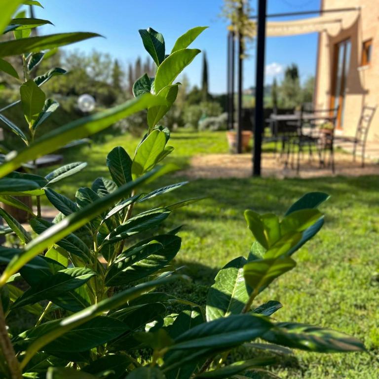 Agriturismo La Corte del Sole - Appartamento con 2 Camere da Letto - 27