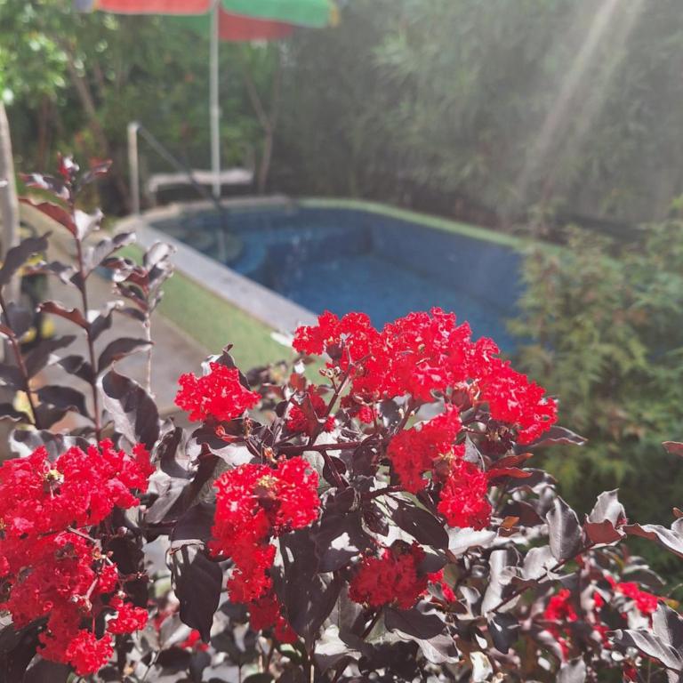 Apartment at villa with pool - Kuća sa 1 Spavaćom Sobom - 7