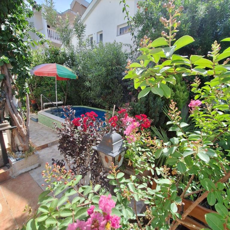 Apartment at villa with pool - Kuća sa 1 Spavaćom Sobom - 17