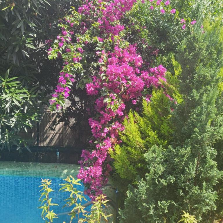 Apartment at villa with pool - Kuća sa 1 Spavaćom Sobom - 27