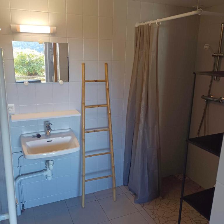Les Jonquilles: gîte 8/10 pers. avec vue imprenable! - Appartement avec Vue sur la Montagne - 22