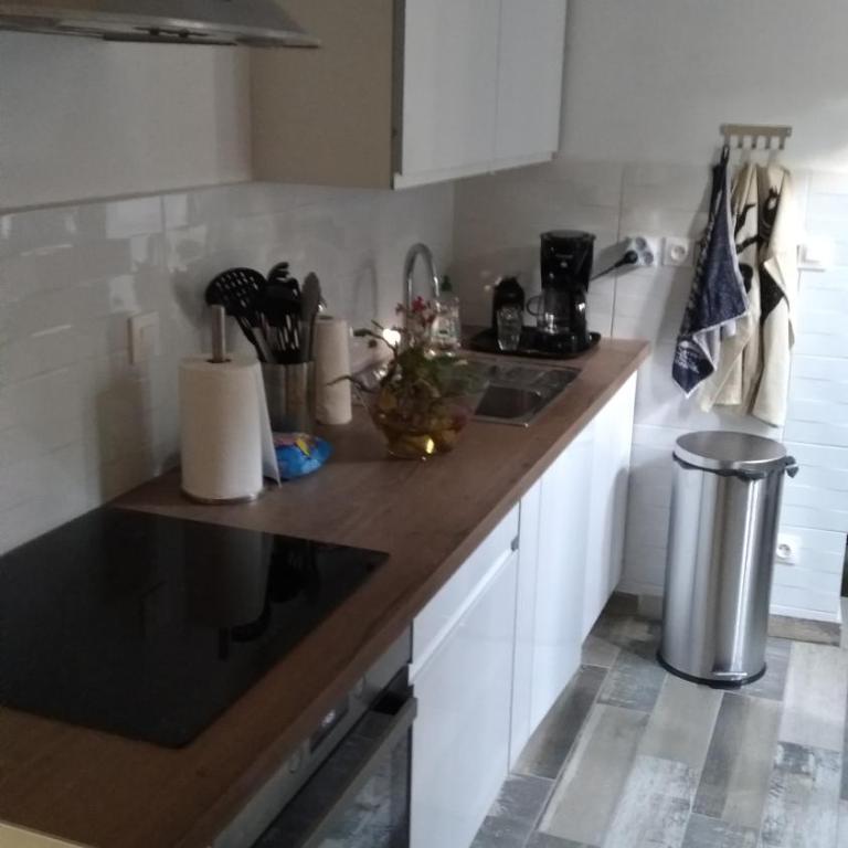 Appartement ensoleillé avec jardin et barbecue - One-Bedroom Apartment - 3