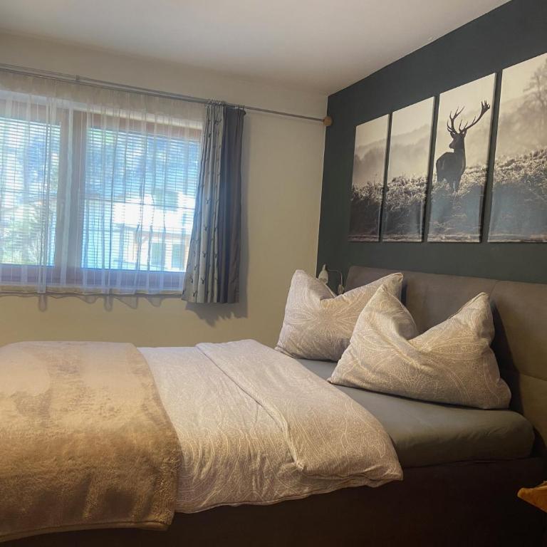 Appartement Zaglmayr - Appartamento con 1 Camera da Letto - 4
