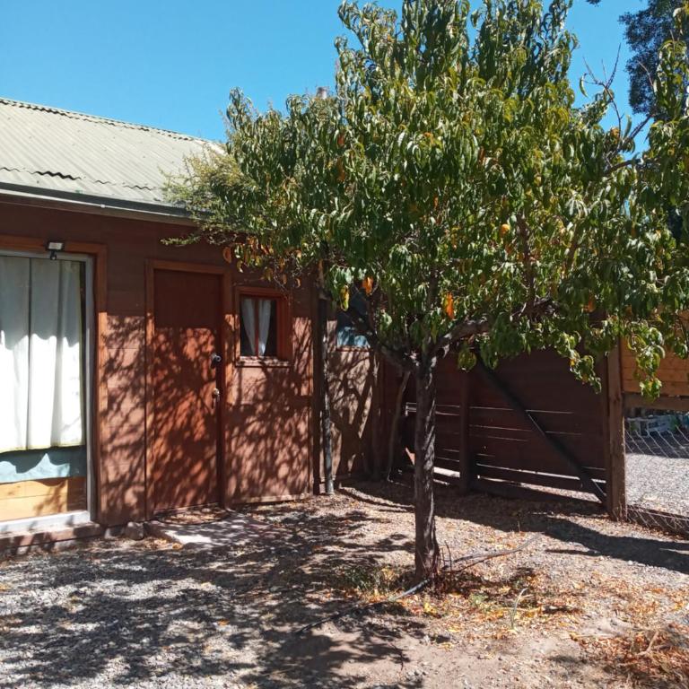 TINY HOUSE DE 26 metros cuadrados - Casa con 1 dormitorio - 4